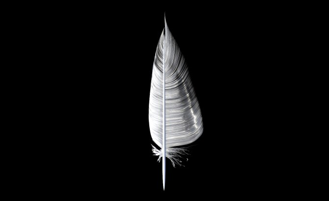 3D Feather Sculpt 4