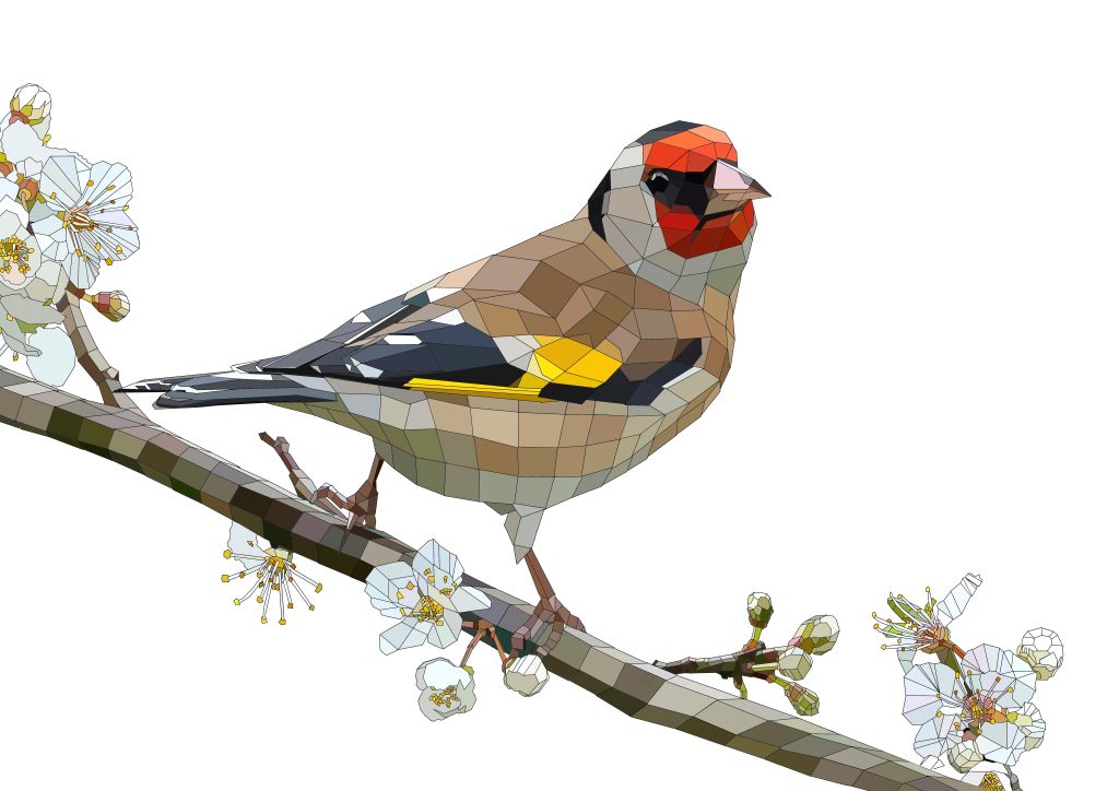 Digital Drawing “The Goldfinch” 2012