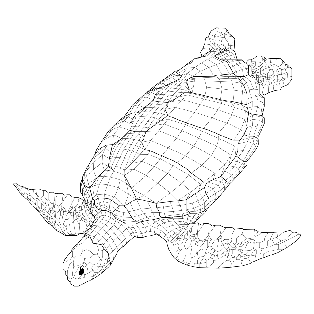 “The Green Sea Turtle”, 2016
