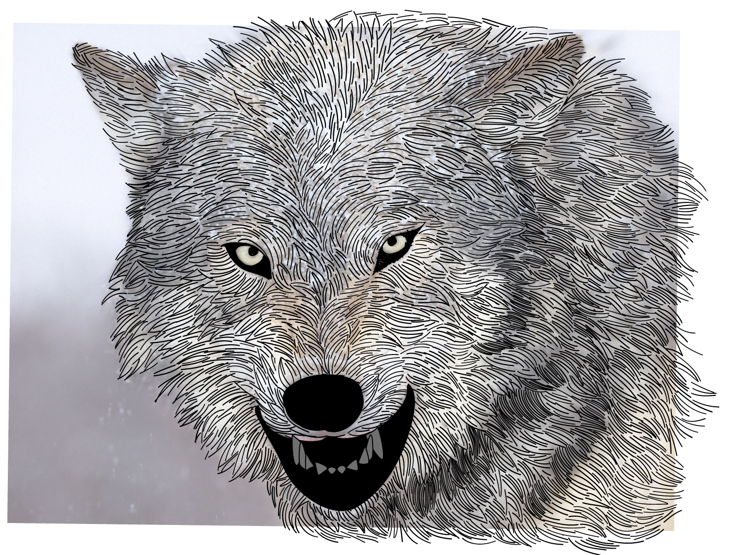 WolfDrawing-01