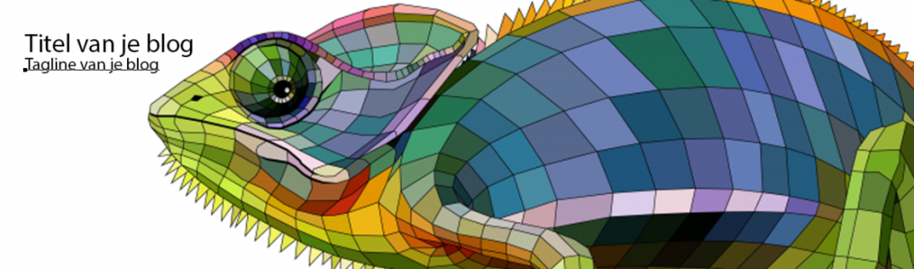 Custom WordPress Header