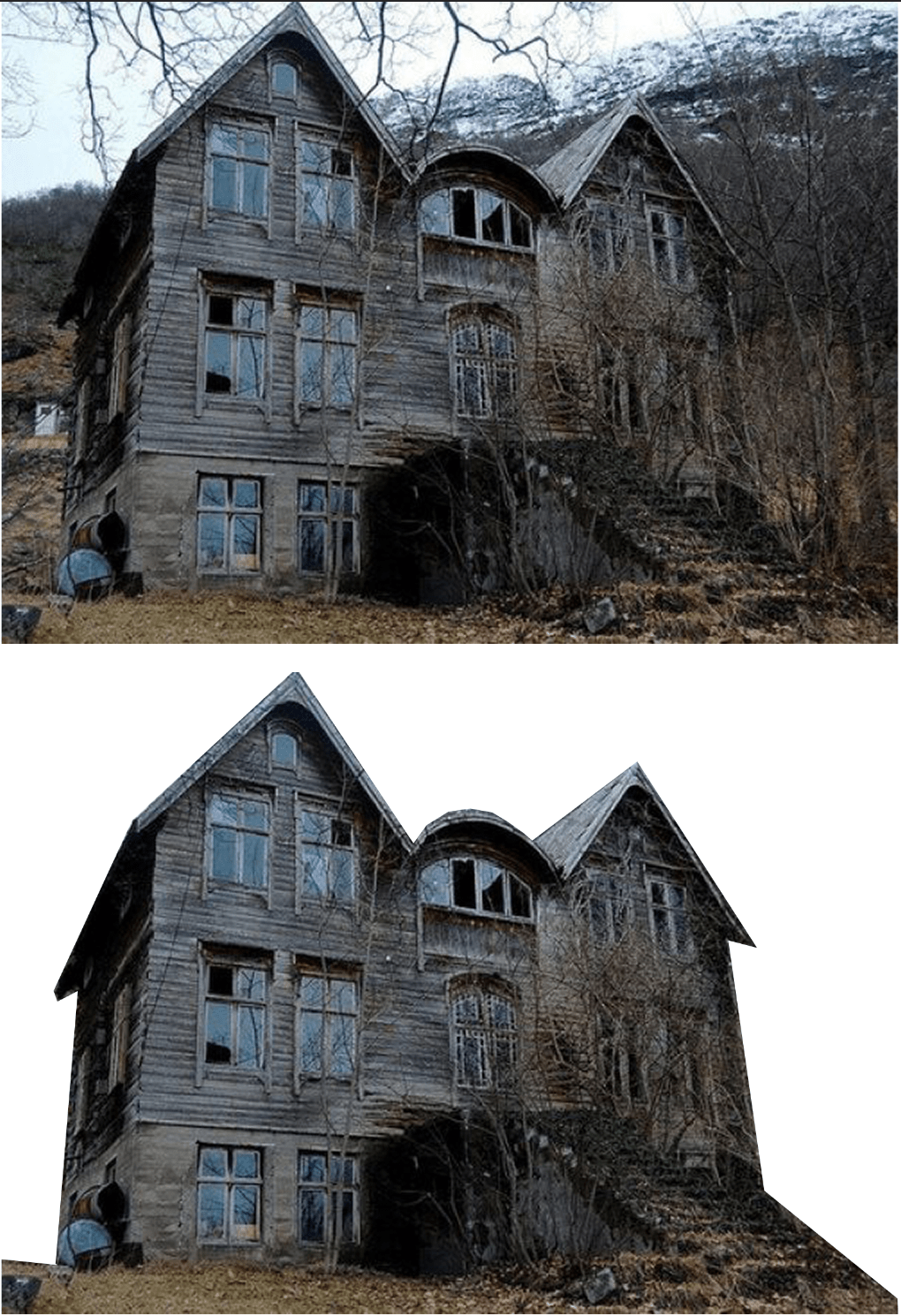 BGRemovedWithPolygonalLassoPhotoshop